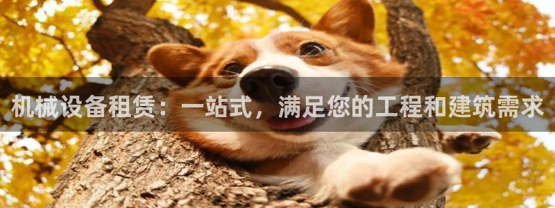 九游会网址jn109