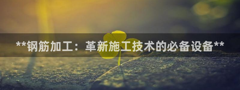 J9九游会老网站