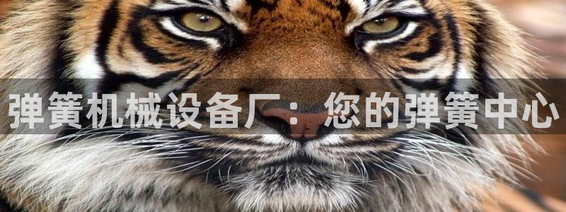 九游会集团登录