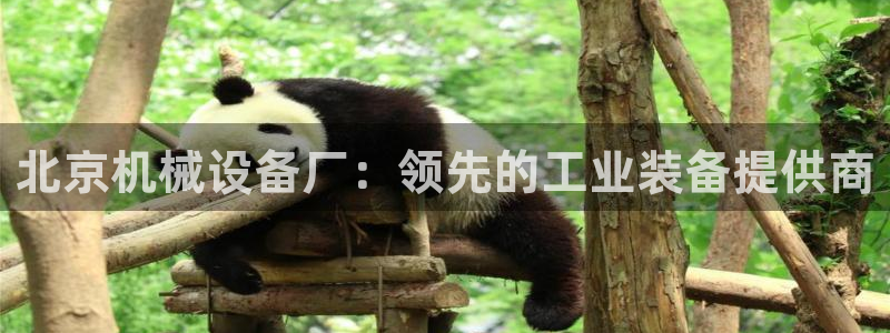 九游会app官方下载安装