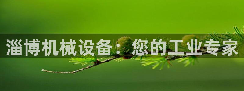 九游会口碑怎么样