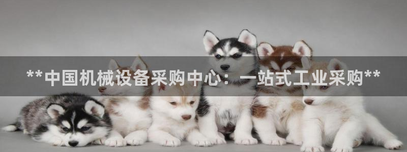 九游会J9登录入口