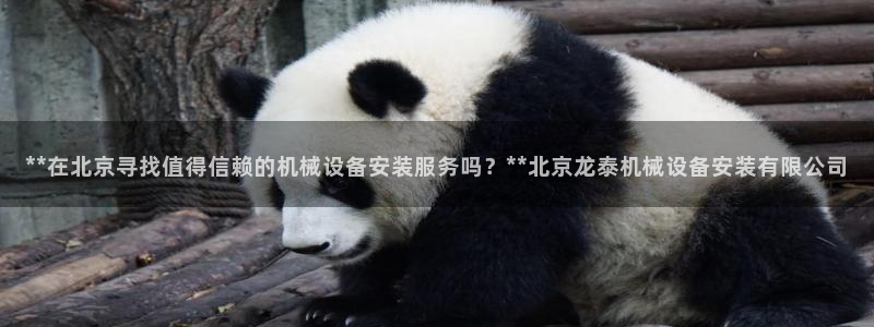 九游j9会 - 真人游戏第一品牌