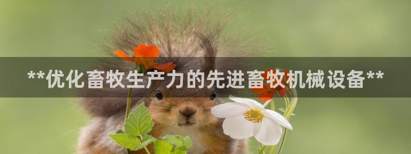 九游会网址登录不上