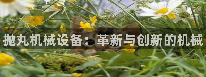 九游会官方登入：抛丸